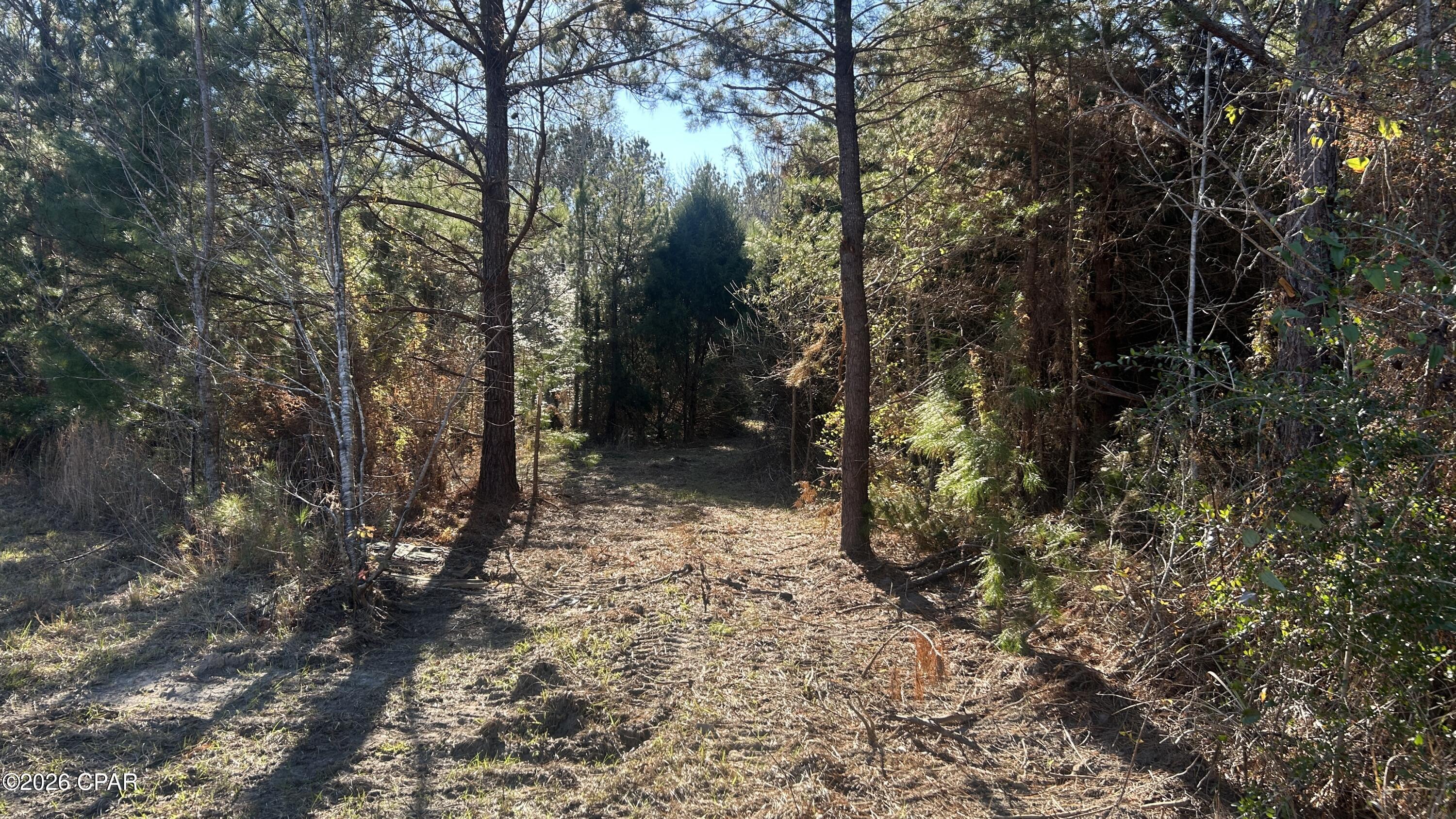 660 White Creek Road Ponce de Leon, FL 32455 - Photo 13 of 40