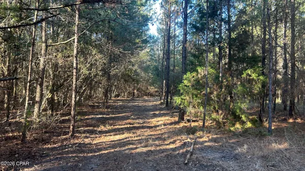 $169,000 | 660 White Creek Road, Ponce de Leon, FL 32455