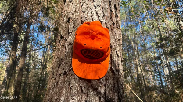 $169,000 | 660 White Creek Road, Ponce de Leon, FL 32455