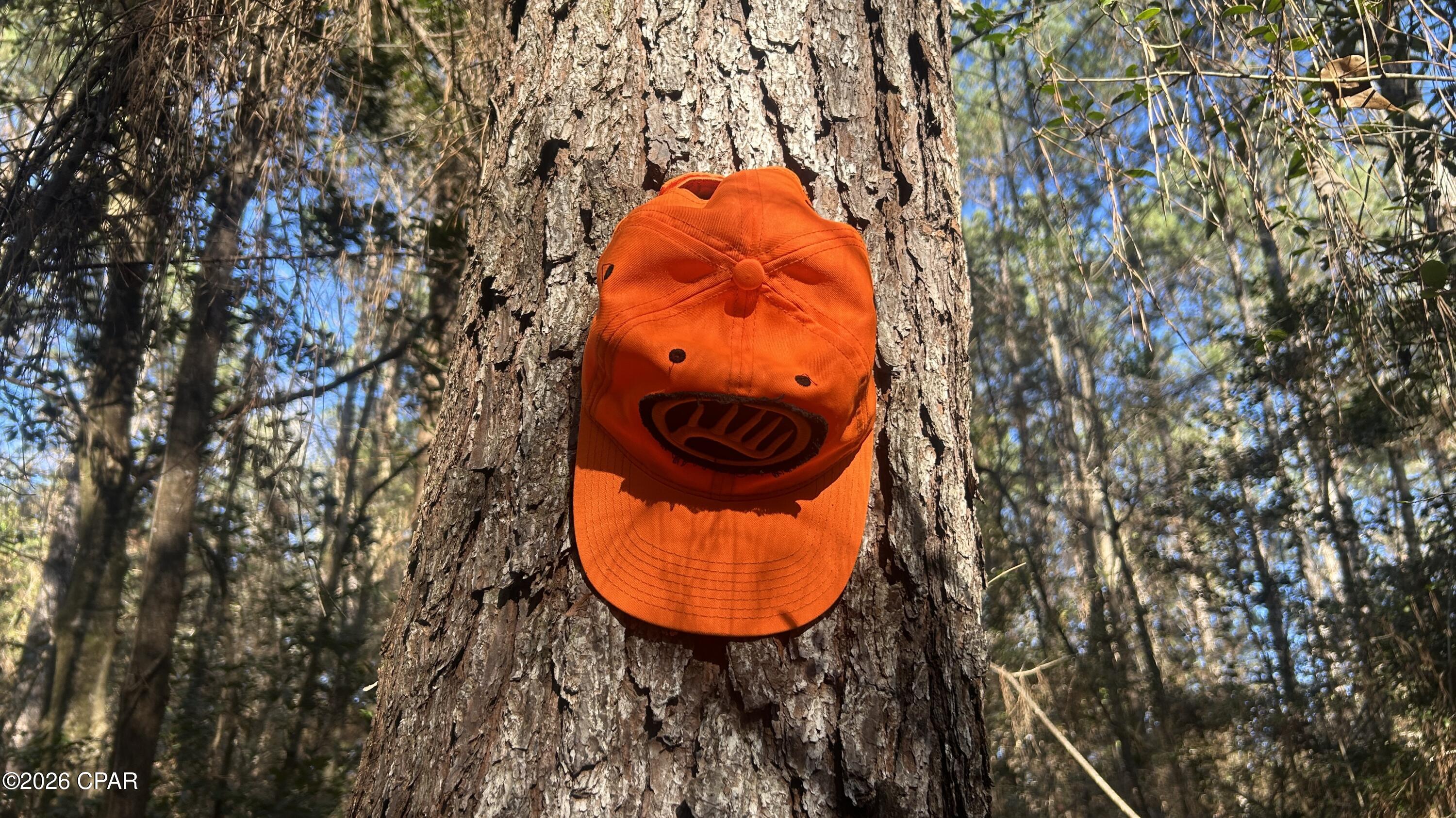 660 White Creek Road Ponce de Leon, FL 32455 - Photo 15 of 40