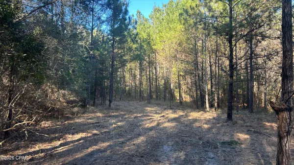 $169,000 | 660 White Creek Road, Ponce de Leon, FL 32455