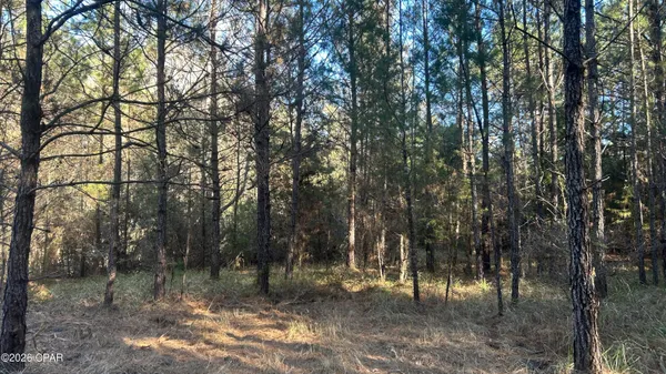 $169,000 | 660 White Creek Road, Ponce de Leon, FL 32455