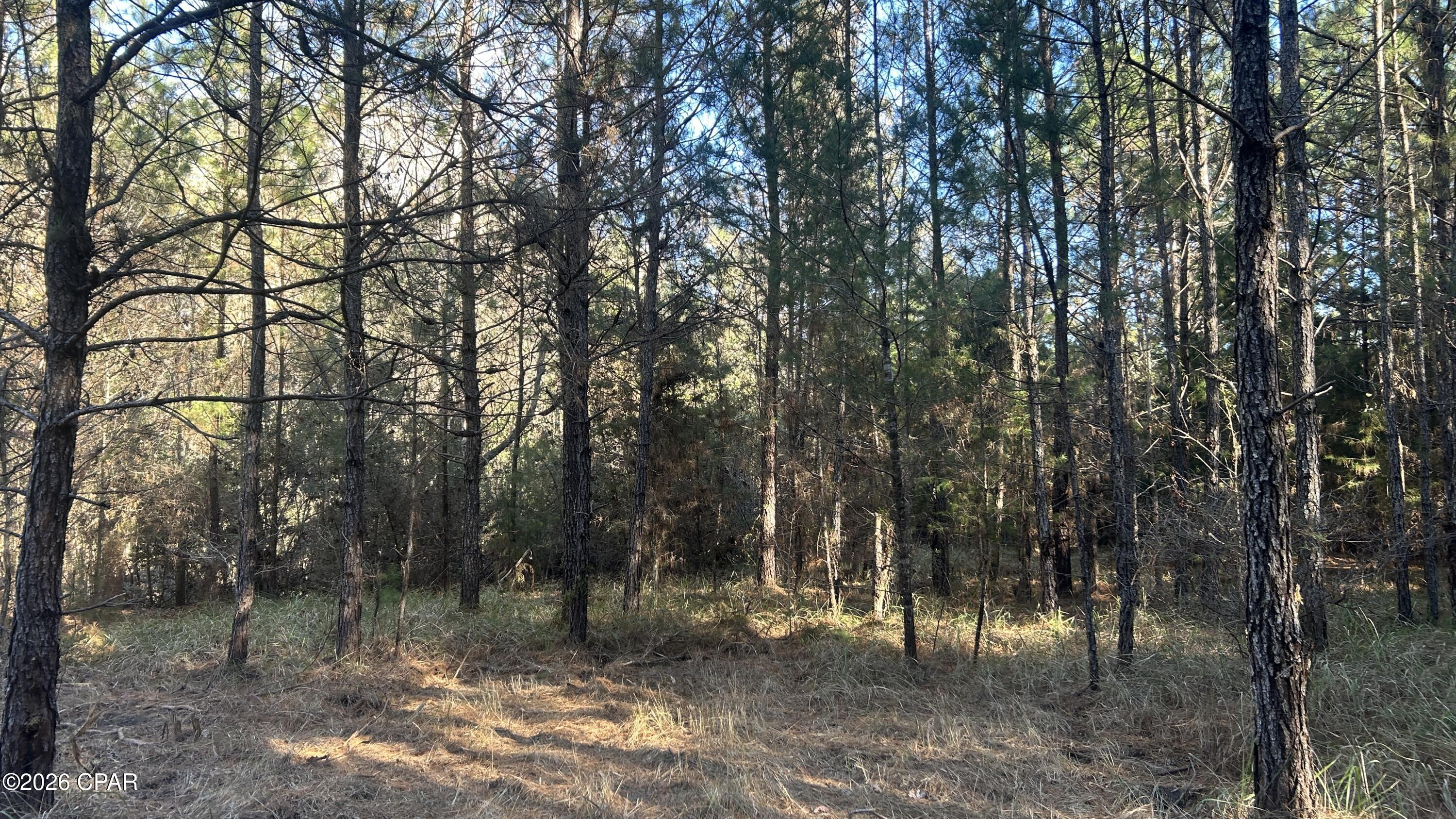 660 White Creek Road Ponce de Leon, FL 32455 - Photo 17 of 40