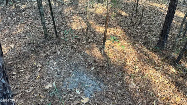 $169,000 | 660 White Creek Road, Ponce de Leon, FL 32455