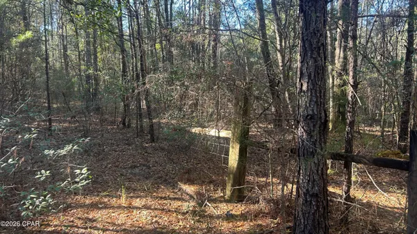 $169,000 | 660 White Creek Road, Ponce de Leon, FL 32455