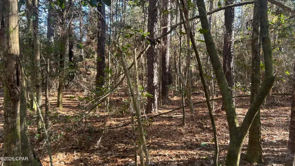 $169,000 | 660 White Creek Road, Ponce de Leon, FL 32455