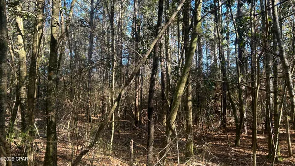 $169,000 | 660 White Creek Road, Ponce de Leon, FL 32455