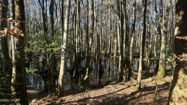 $169,000 | 660 White Creek Road, Ponce de Leon, FL 32455