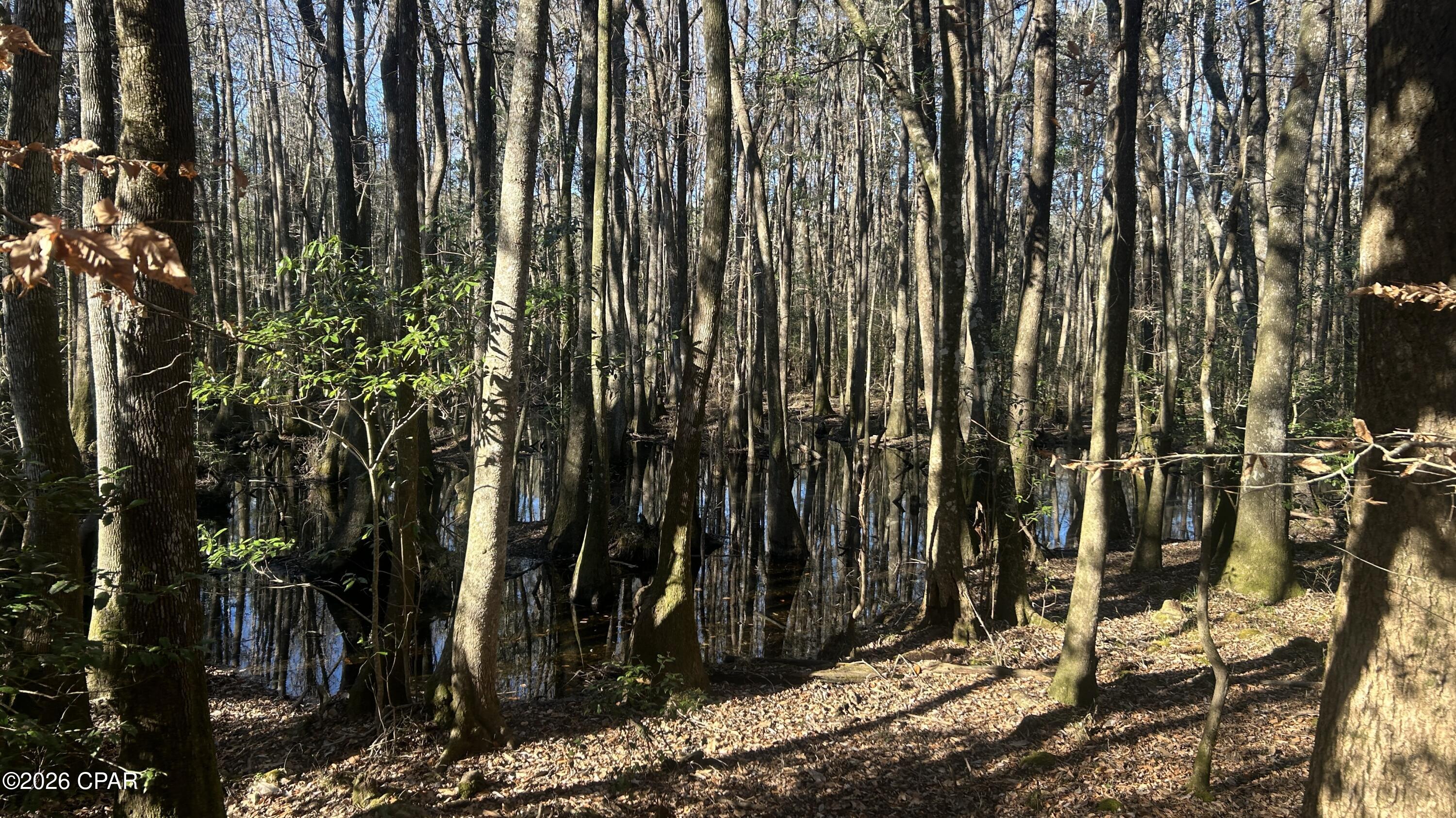 660 White Creek Road Ponce de Leon, FL 32455 - Photo 22 of 40