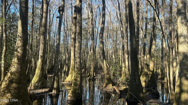 $169,000 | 660 White Creek Road, Ponce de Leon, FL 32455