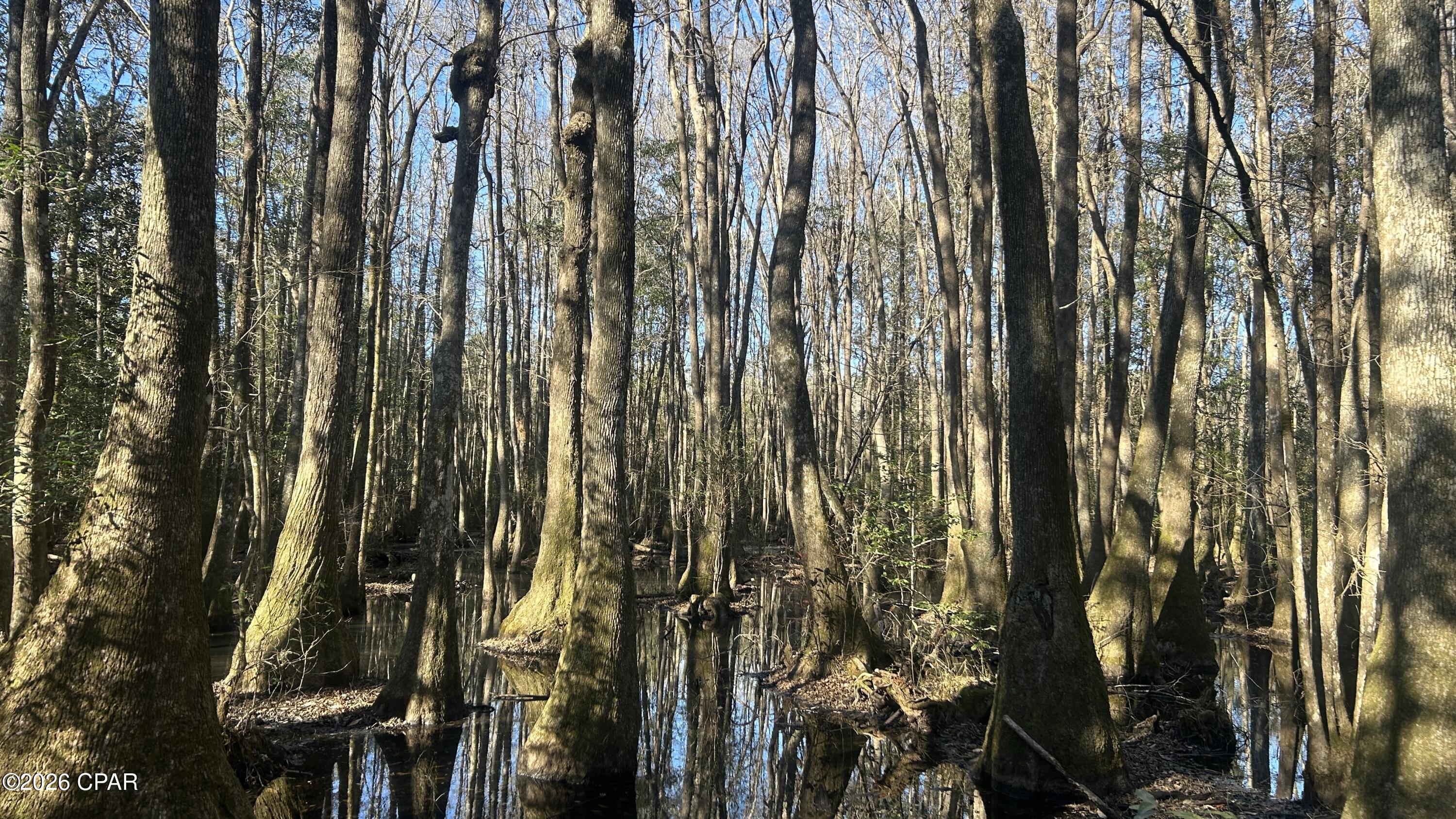 660 White Creek Road Ponce de Leon, FL 32455 - Photo 23 of 40