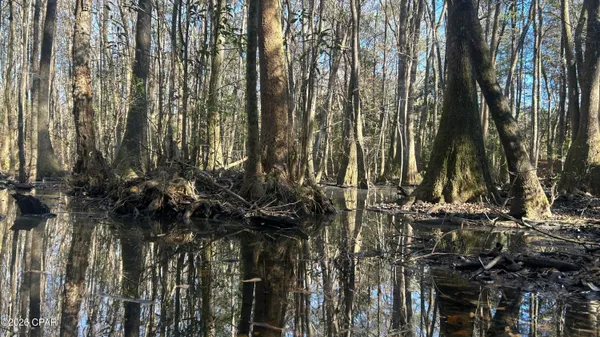 $169,000 | 660 White Creek Road, Ponce de Leon, FL 32455