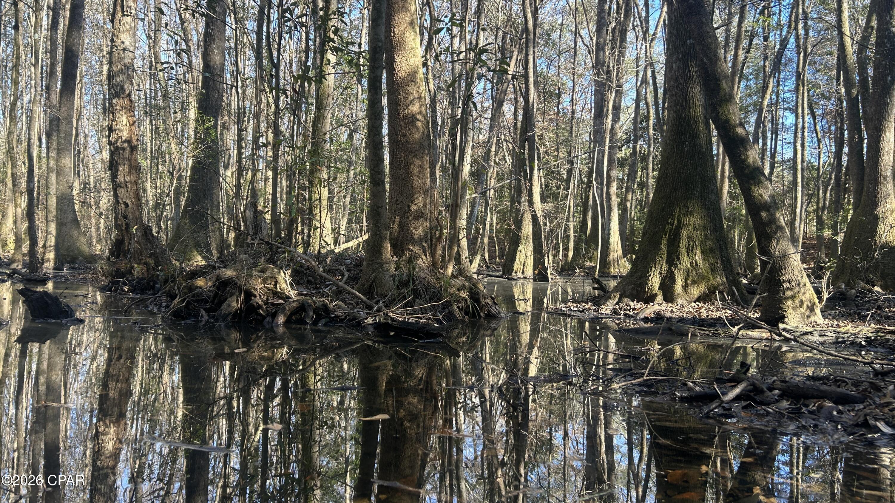 660 White Creek Road Ponce de Leon, FL 32455 - Photo 24 of 40