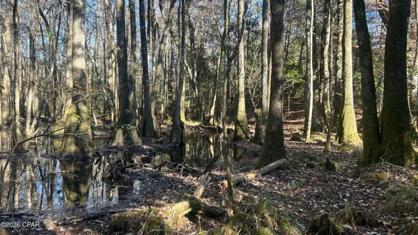 $169,000 | 660 White Creek Road, Ponce de Leon, FL 32455