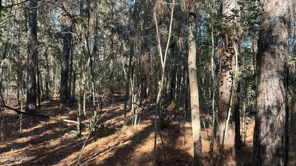 $169,000 | 660 White Creek Road, Ponce de Leon, FL 32455