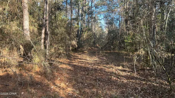 $169,000 | 660 White Creek Road, Ponce de Leon, FL 32455