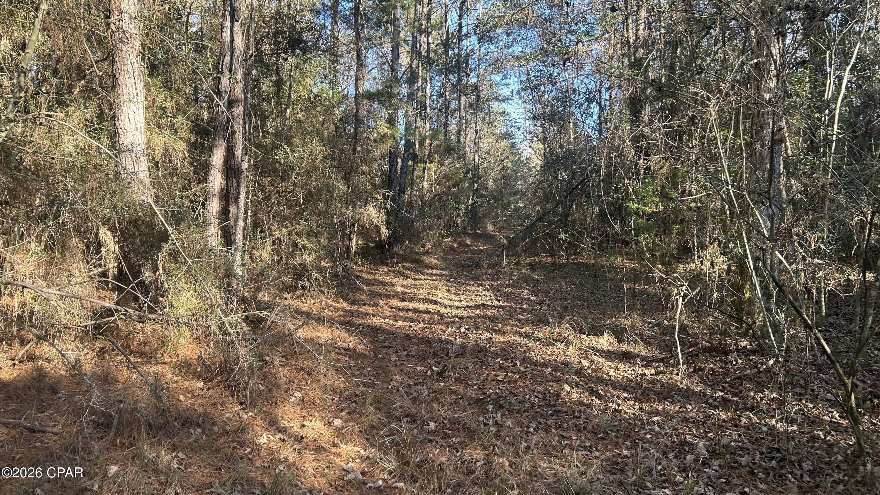 660 White Creek Road Ponce de Leon, FL 32455 - Photo 27 of 40