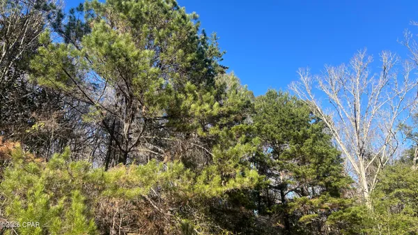 $169,000 | 660 White Creek Road, Ponce de Leon, FL 32455