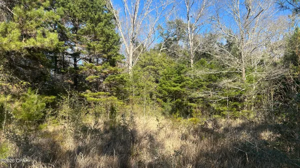 $169,000 | 660 White Creek Road, Ponce de Leon, FL 32455