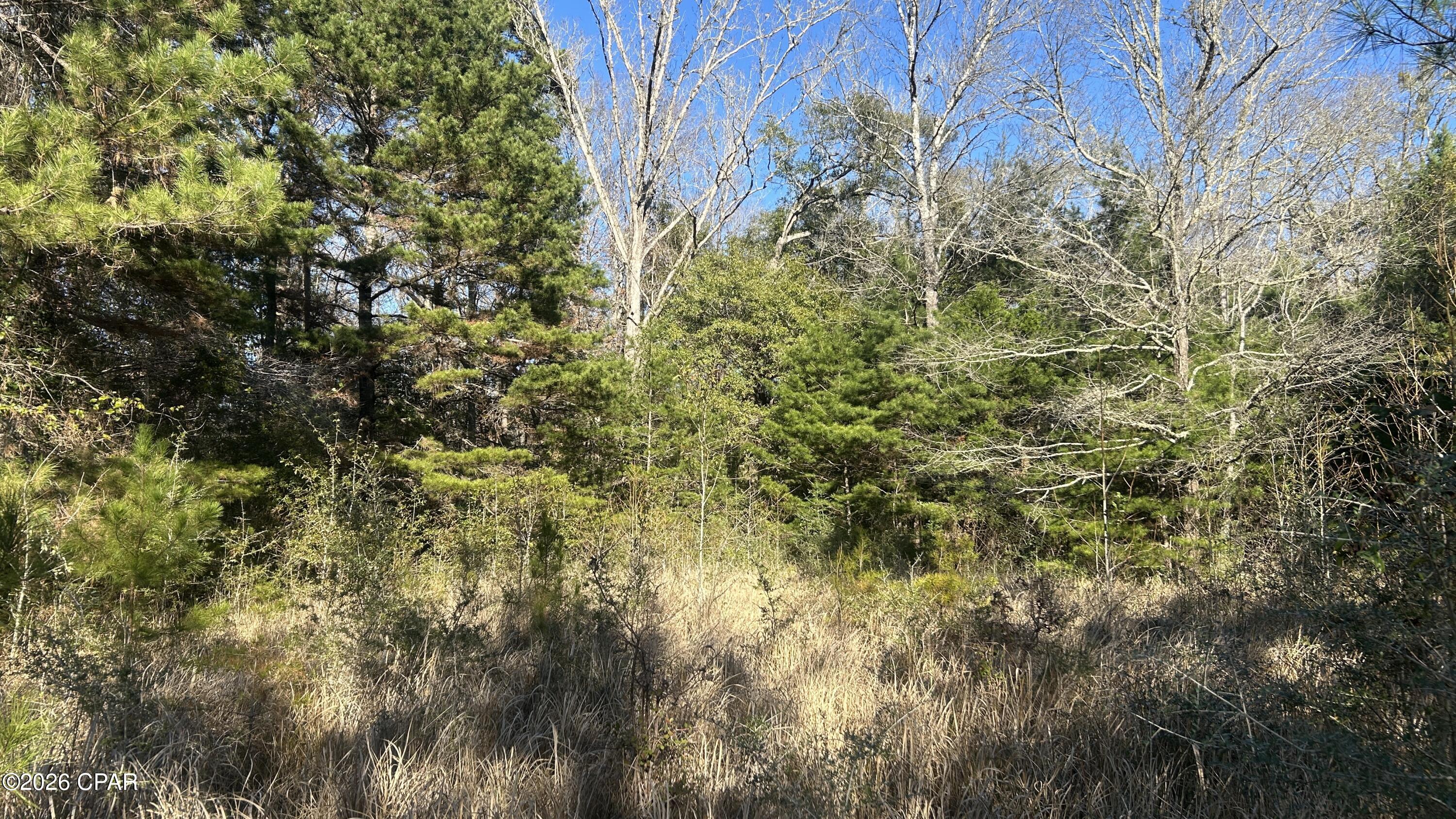 660 White Creek Road Ponce de Leon, FL 32455 - Photo 29 of 40