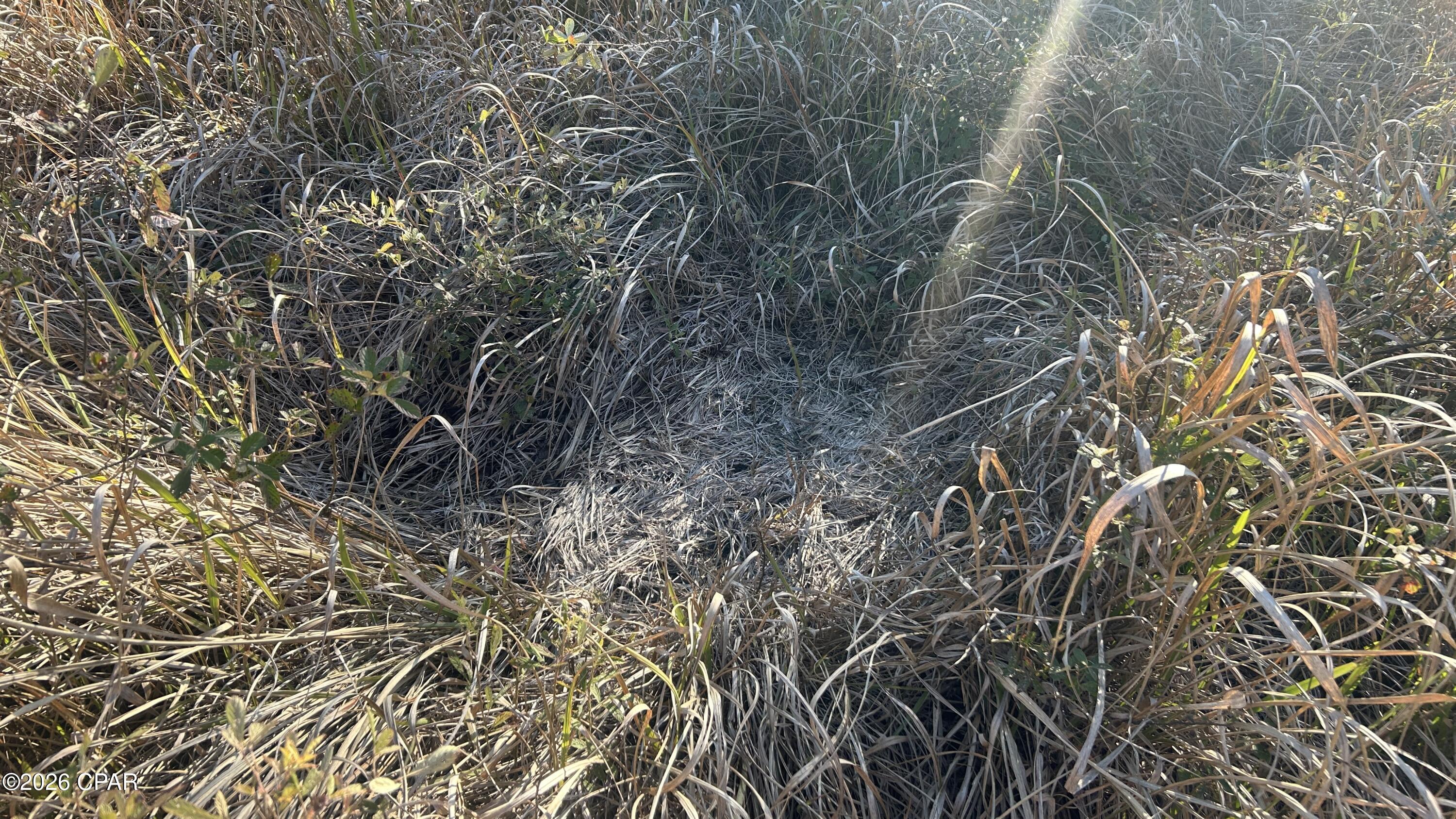 660 White Creek Road Ponce de Leon, FL 32455 - Photo 31 of 40