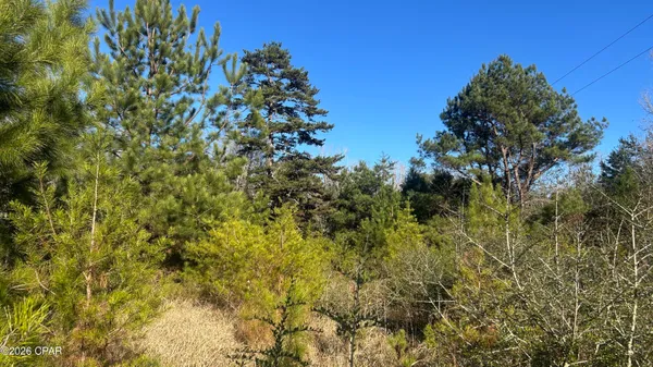 $169,000 | 660 White Creek Road, Ponce de Leon, FL 32455