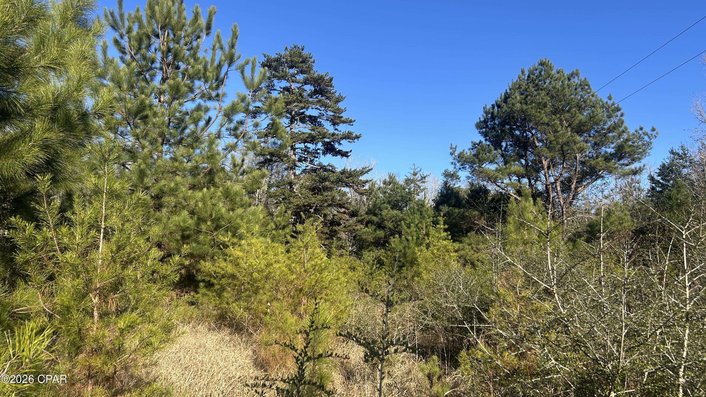 660 White Creek Road Ponce de Leon, FL 32455 - Photo 32 of 40