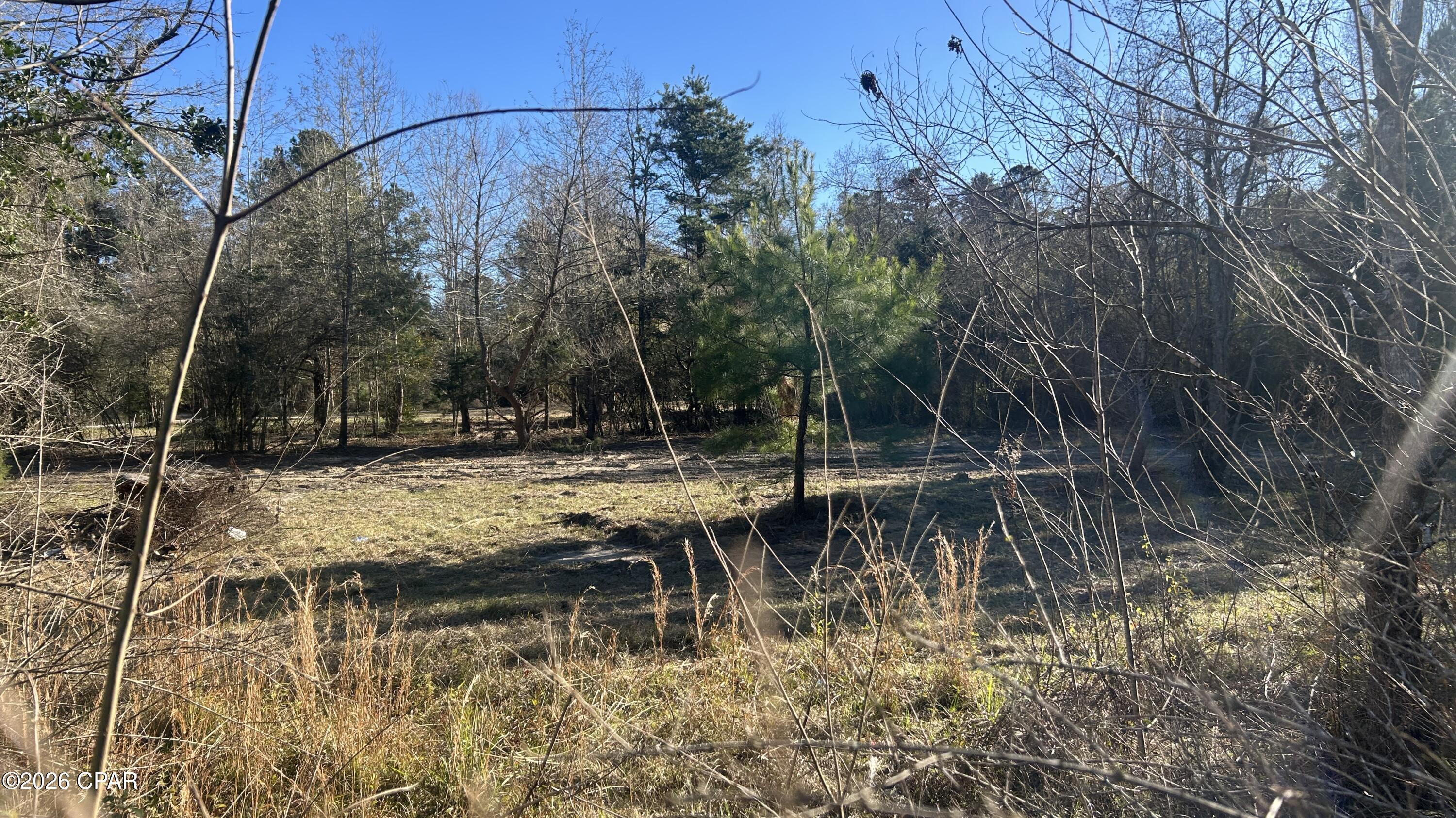 660 White Creek Road Ponce de Leon, FL 32455 - Photo 33 of 40