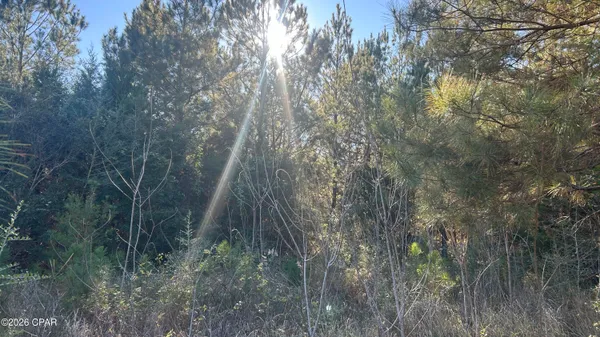 $169,000 | 660 White Creek Road, Ponce de Leon, FL 32455