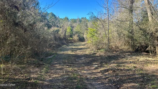 $169,000 | 660 White Creek Road, Ponce de Leon, FL 32455