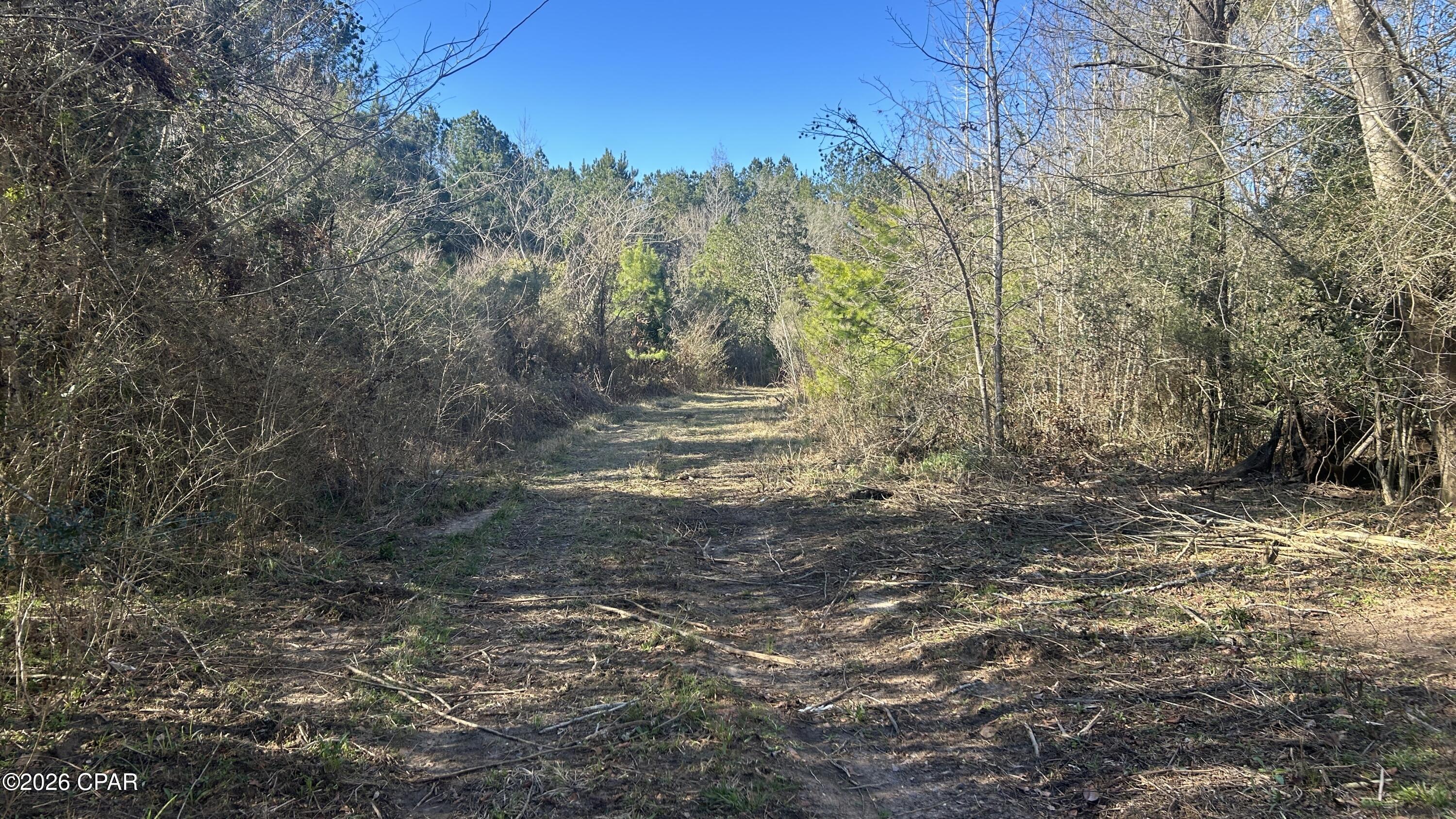 660 White Creek Road Ponce de Leon, FL 32455 - Photo 10 of 40