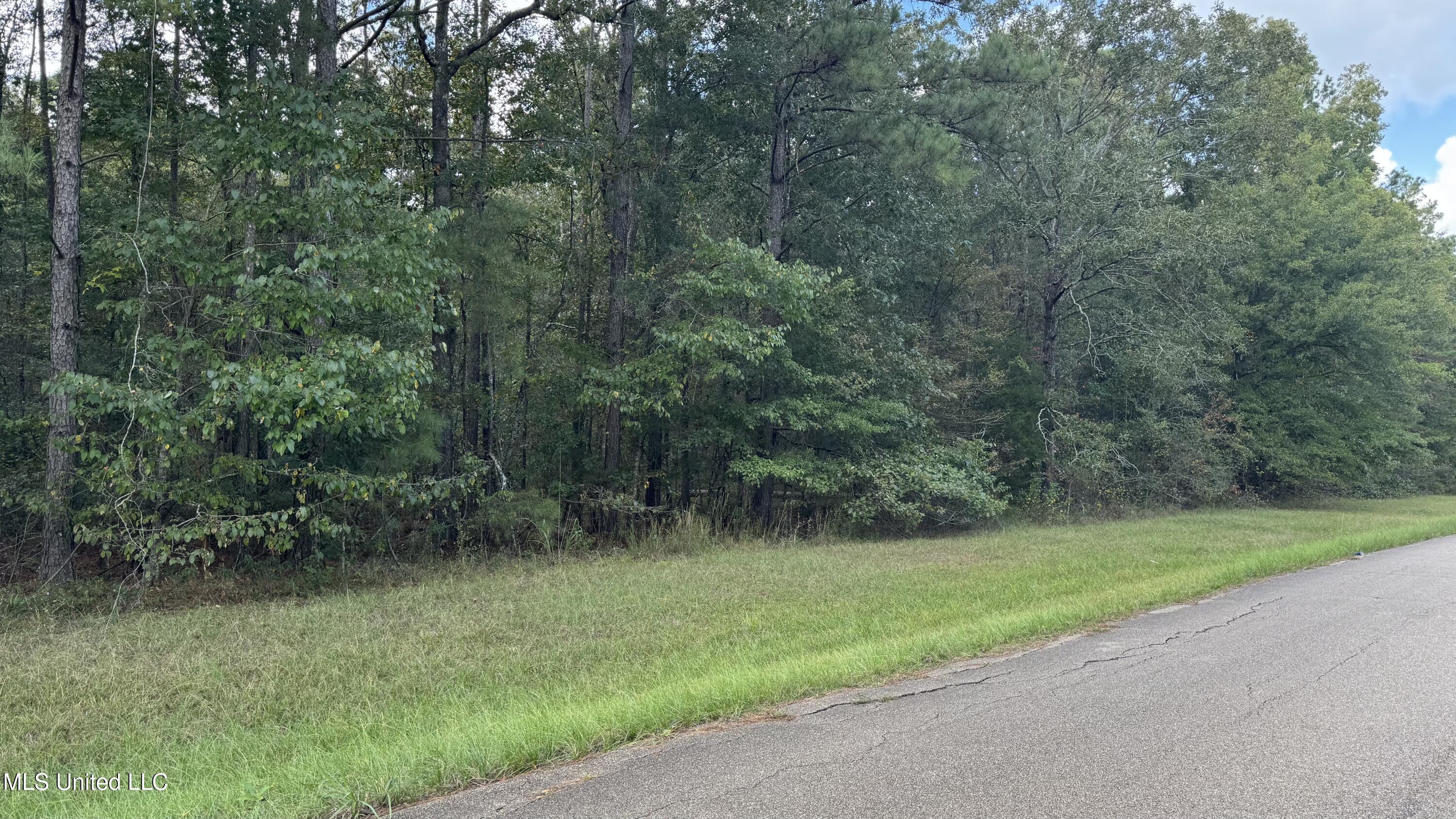 East Moore Tower Road Forest, MS 39074 - Photo 1 of 2 IMG_3878