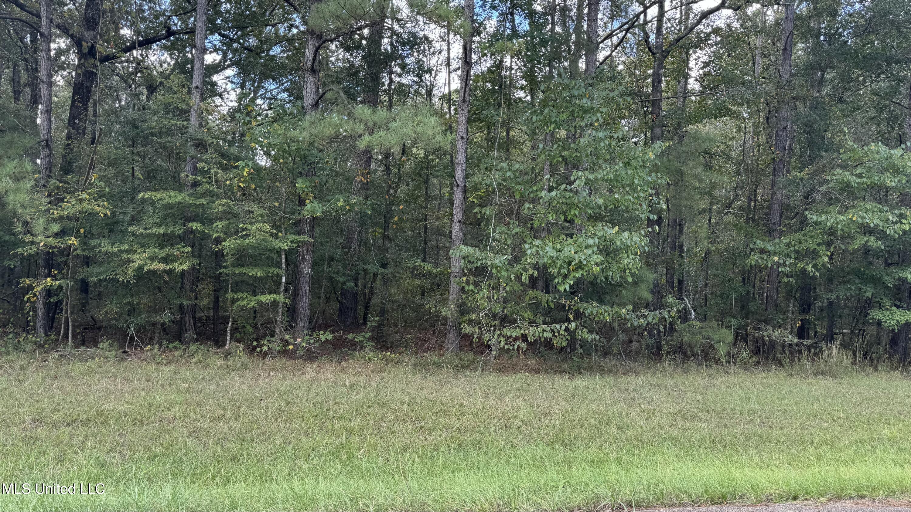 East Moore Tower Road Forest, MS 39074 - Photo 2 of 2 IMG_3877