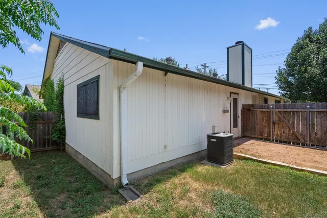 a view of backyard with tree