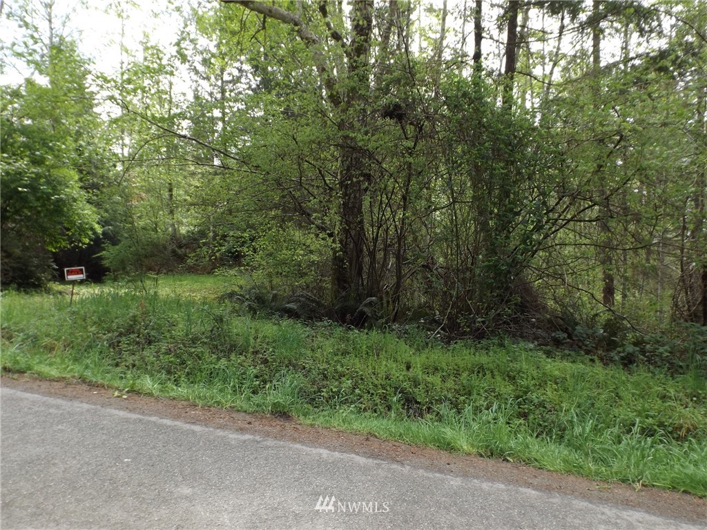 9999 Hazel Point Road Quilcene, WA 98376 - Photo 3 of 4 Gallery Image 3