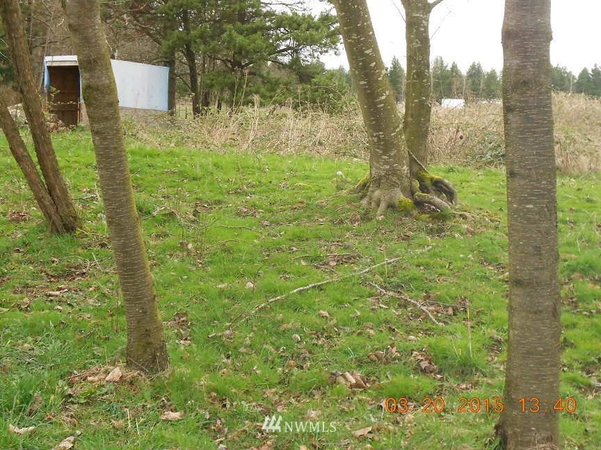 2010 Harksell Road Ferndale, WA 98248 - Photo 5 of 5