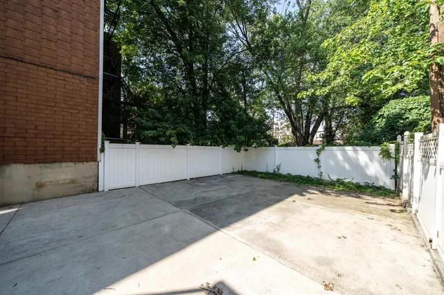 a view of backyard and tree