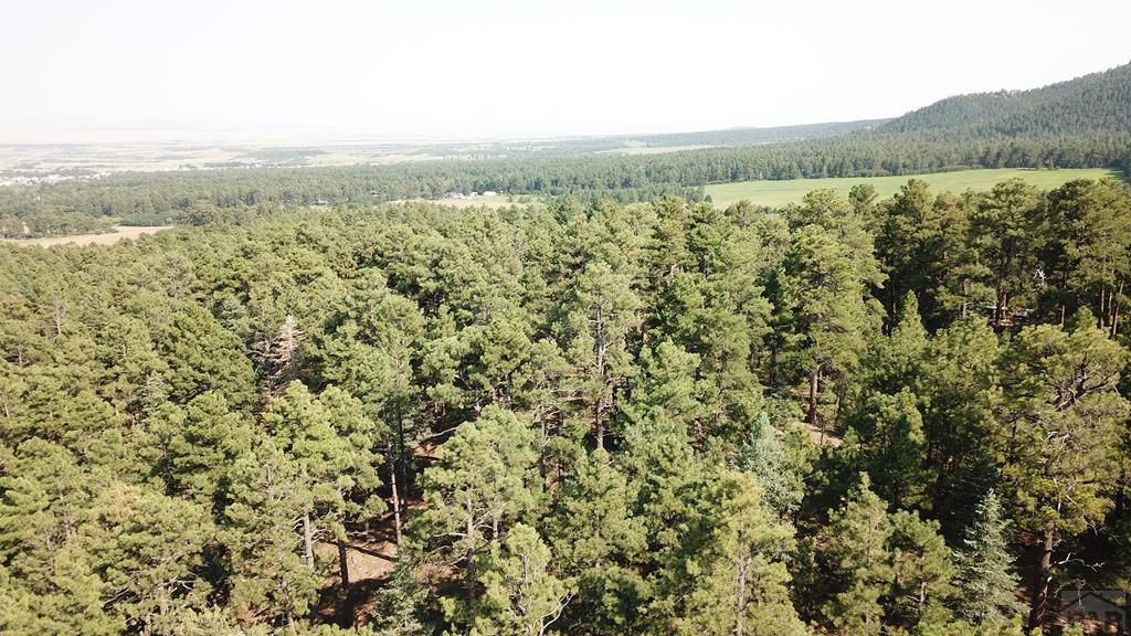 8335 Zorn Road Rye, CO 81069 - Photo 43 of 49