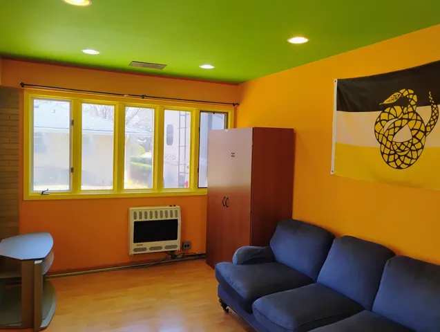 a view of a park with large trees