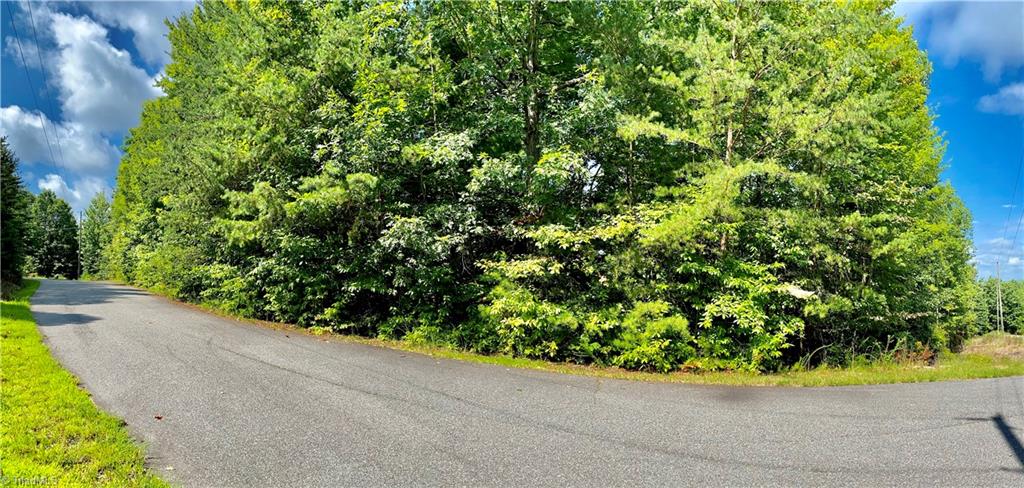 Lot 21 Rose Brier Road Boomer, NC 28606 - Photo 3 of 9 Gallery Image 3