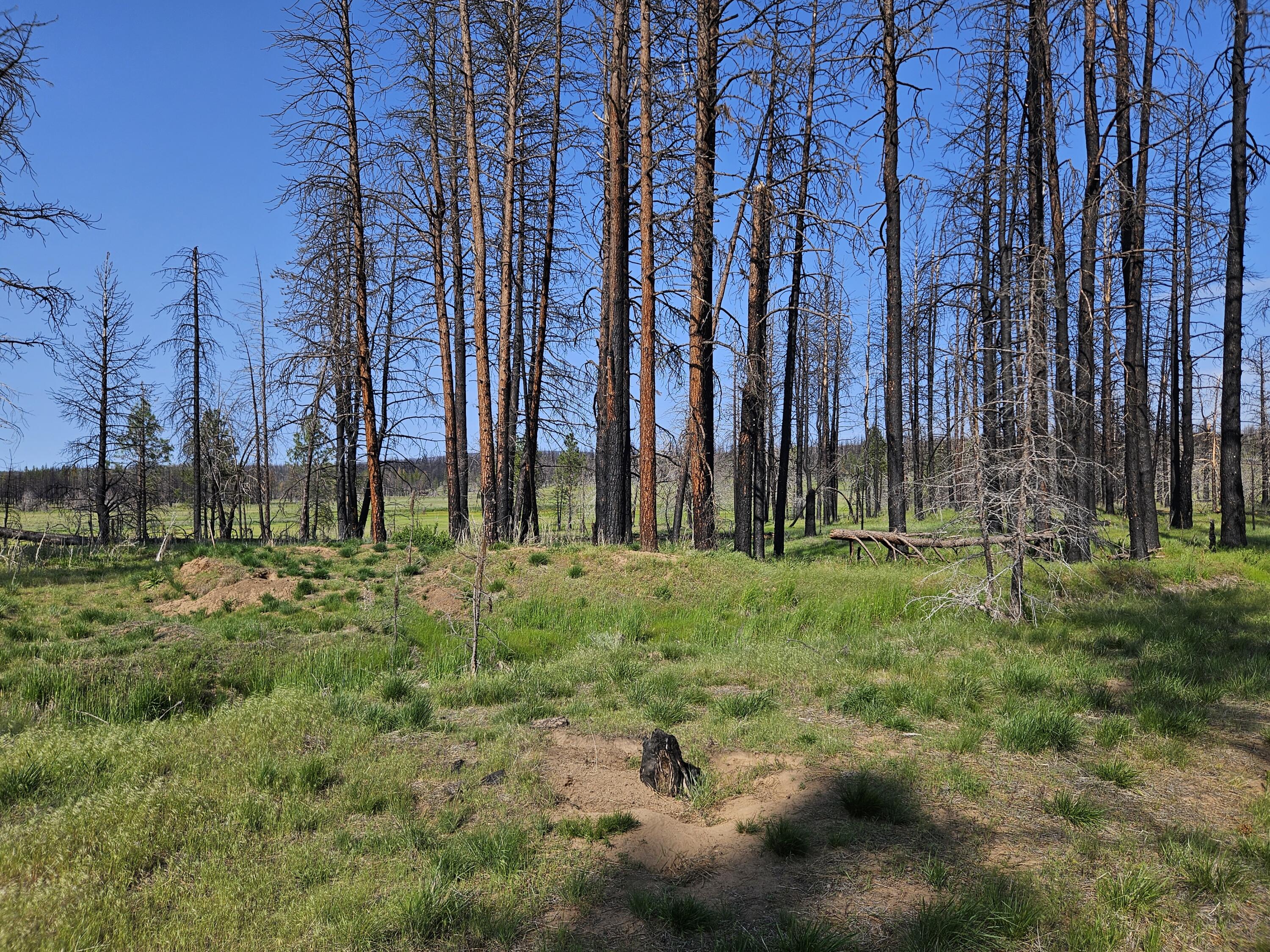 8 Parazoo Trail Bly, OR 97622 - Photo 21 of 27 20250601_170456