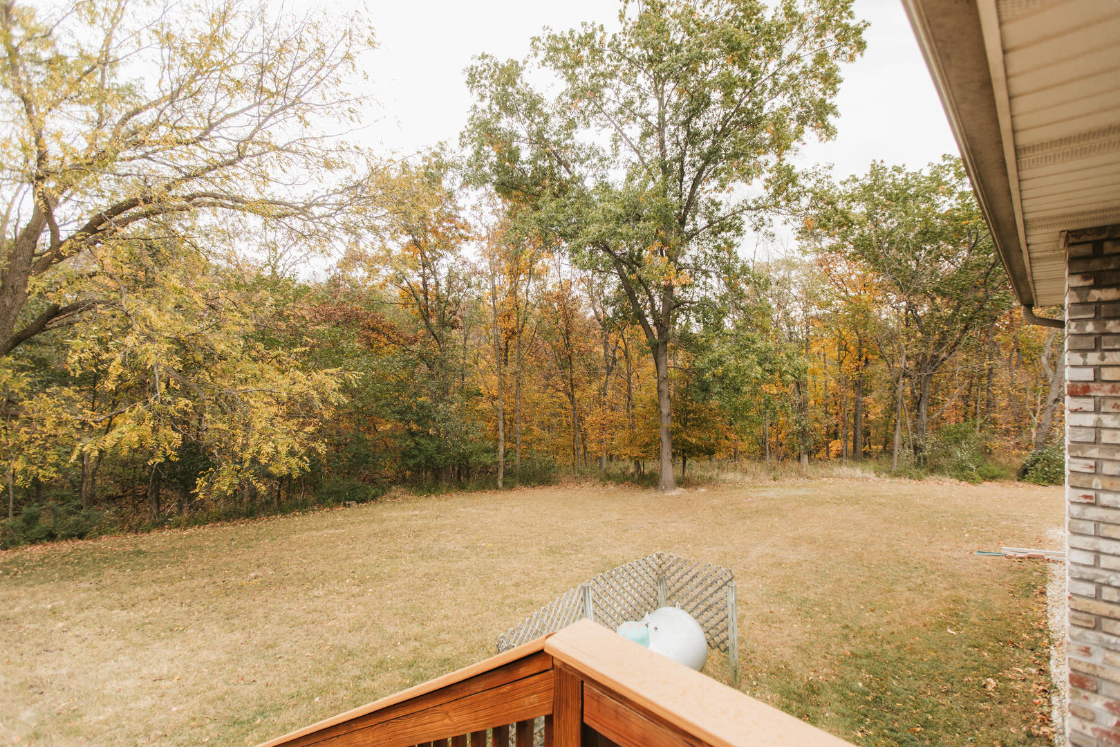 518 Brandywine Circle Varna, IL 61375 - Photo 38 of 44 a view of side of snow and trees