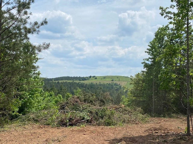 0 Tract 14 B Ridge Road Decatur, TN 37322 - Photo 3 of 5