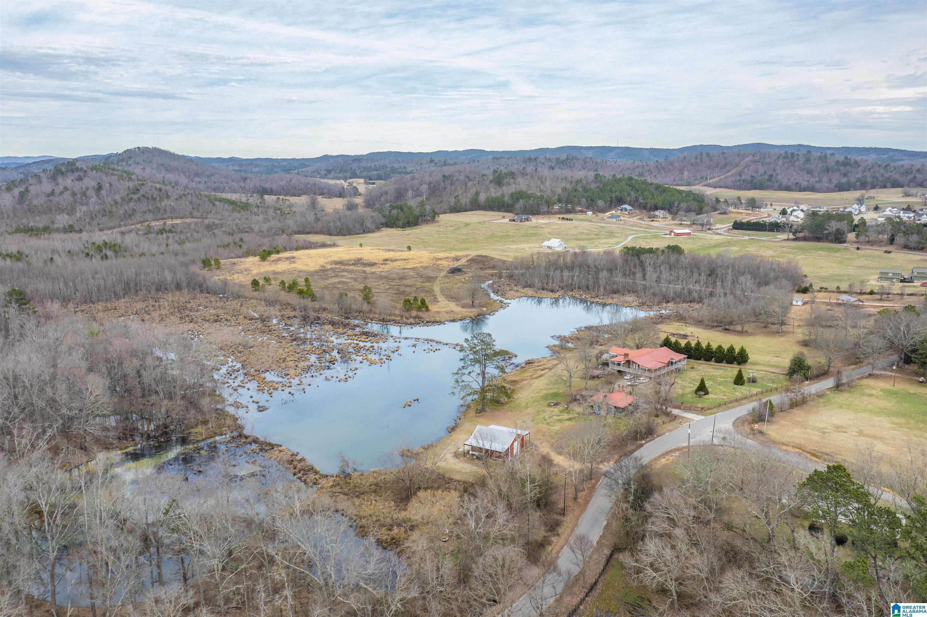 1619 Old Downing Ml Road, Unit 40 03 ACRES Anniston, AL 36207 - Photo 12 of 29