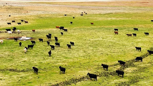 $3,500,000 | Tbd Tbd Tbd Klamath Falls, Klamath Falls, OR 97603