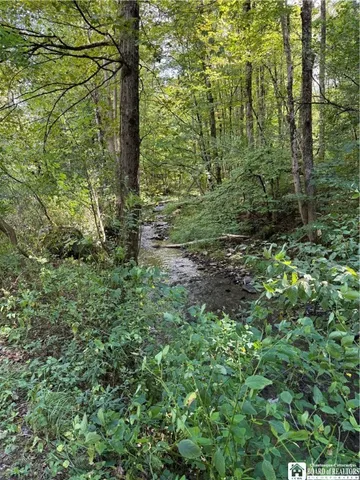 $325,000 | 3981 Highway 394, Coldspring, NY 14772