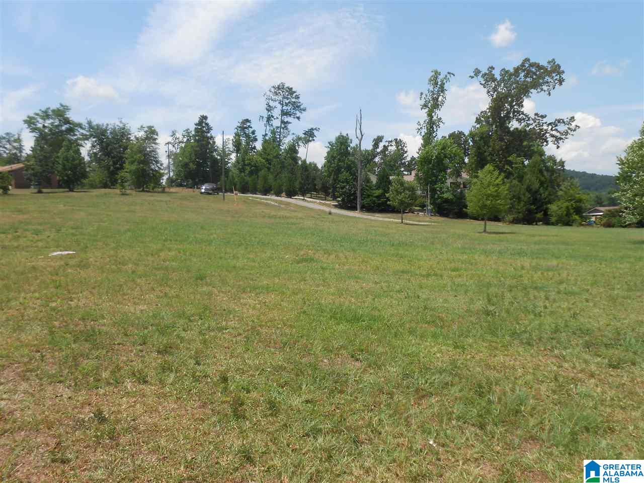 Holiday Estates Road, Unit 11 Ashville, AL 35953 - Photo 3 of 4