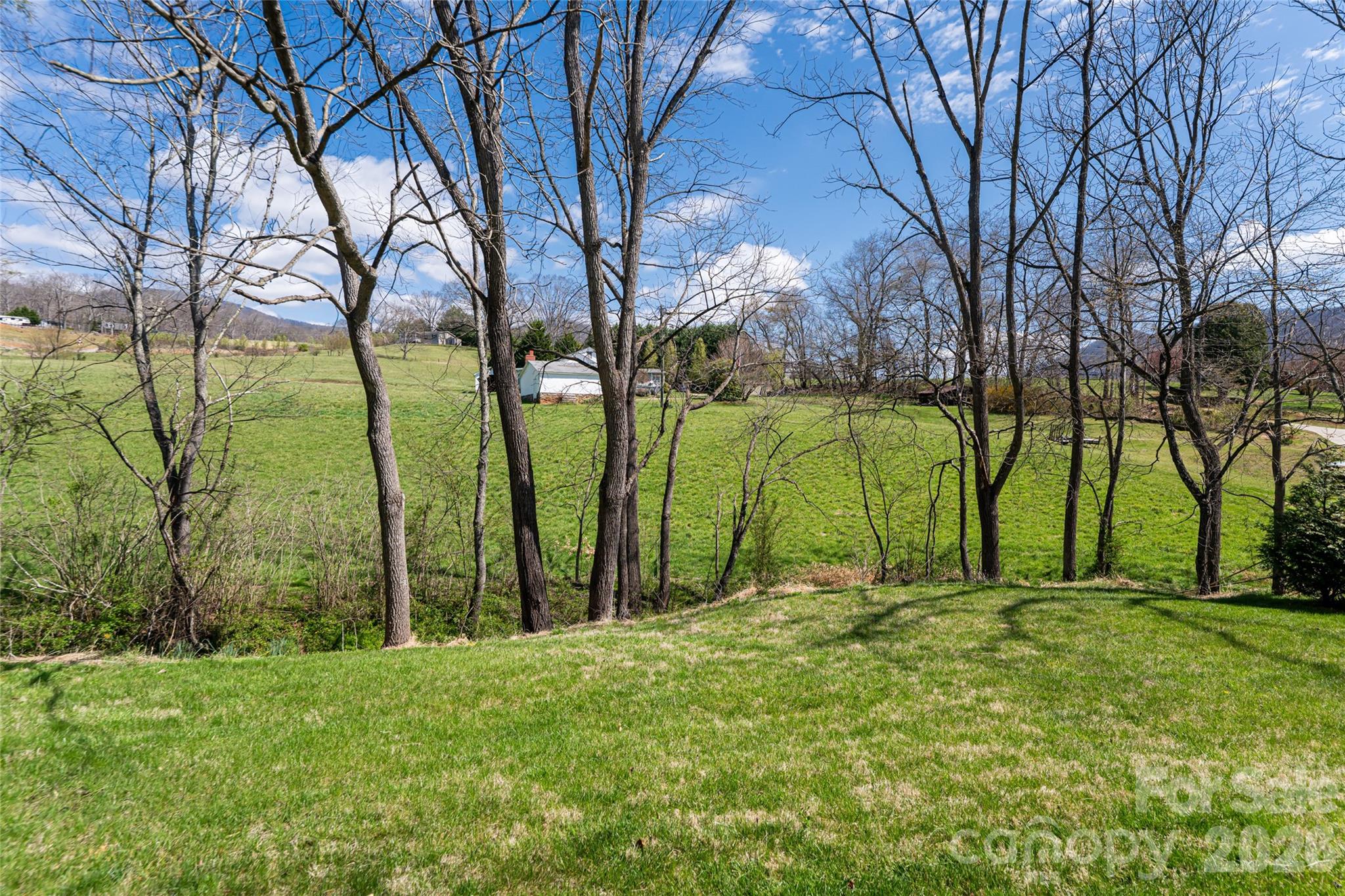 86 Rolling Hills Road Canton, NC 28716 - Photo 39 of 48