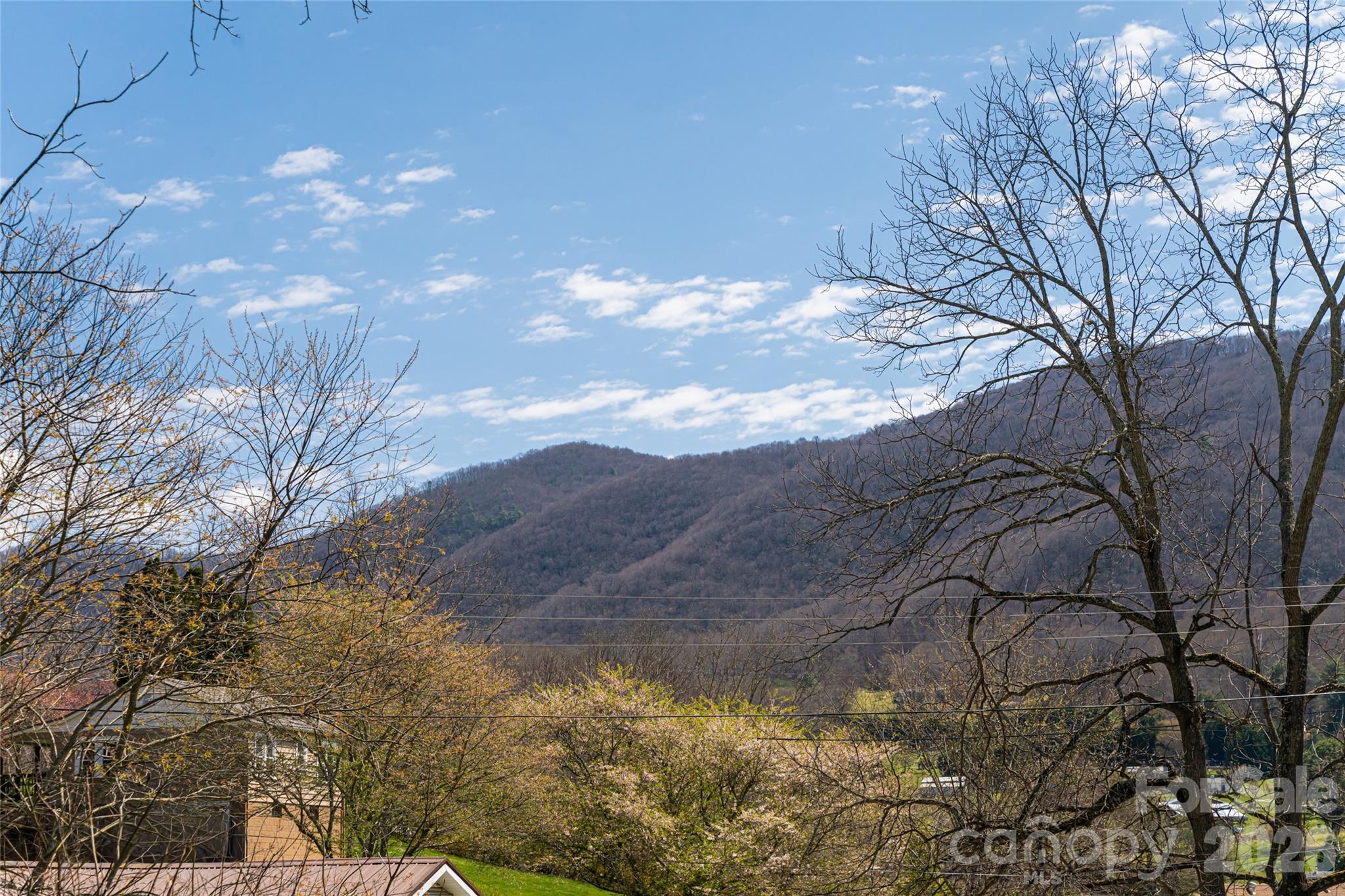 86 Rolling Hills Road Canton, NC 28716 - Photo 41 of 48