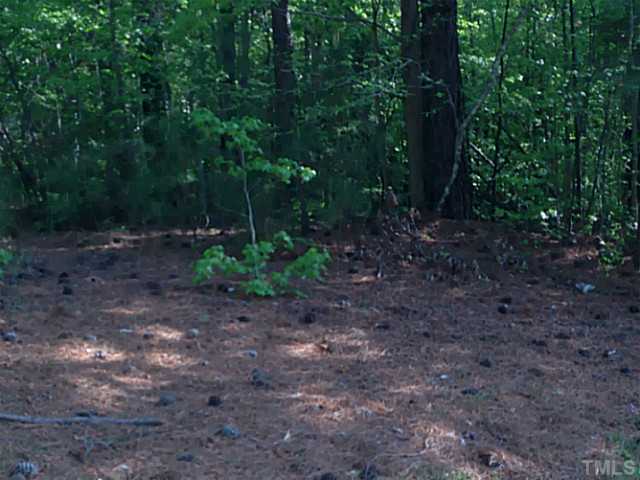 232 Bayleaf Drive, Unit 1 Raleigh, NC 27615 - Photo 3 of 5 a view of a yard